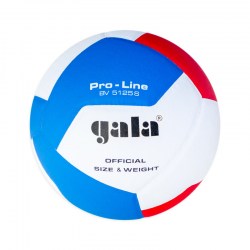 Lopta za odbojku Gala Pro Line 12 - BV 5125