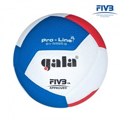 Odbojkaška lopta Gala Pro Line 12 - BV 5595 S